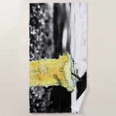 Oude appel strandlaken (Voorkant)