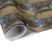 Oude appelboom cadeaupapier (Rol Hoek)