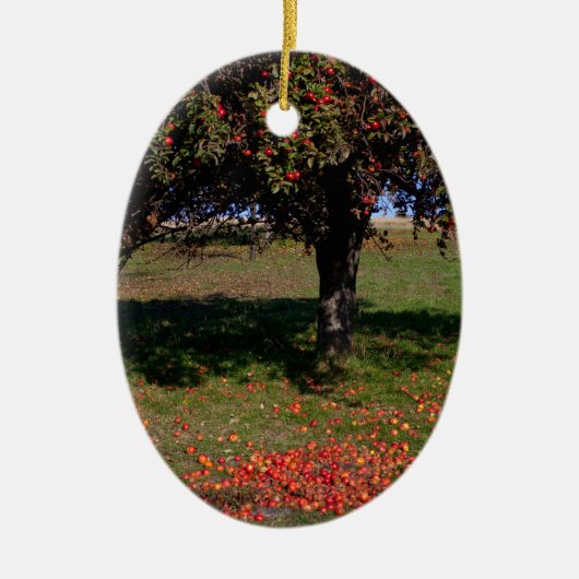 Oude appelboom keramisch ornament (Voorkant)