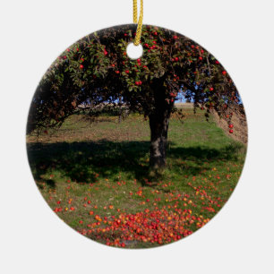 Oude appelboom keramisch ornament