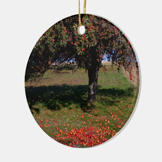 Oude appelboom keramisch ornament (Links)