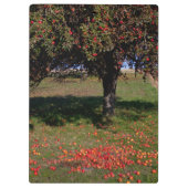 Oude appelboom klembord (Achterkant)