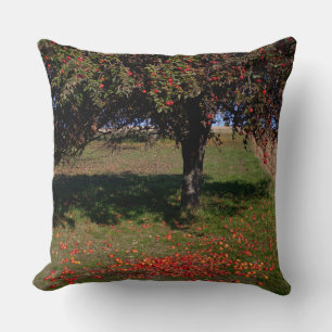 Oude appelboom kussen