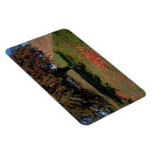 Oude appelboom magneet (Rechterzijde)