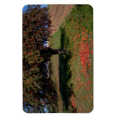 Oude appelboom magneet (Verticaal)