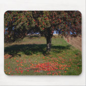 Oude appelboom muismat (Voorkant)