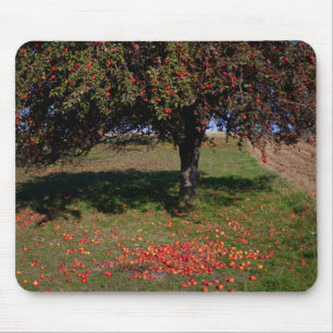 Oude appelboom muismat