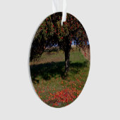 Oude appelboom ornament (voorkant)