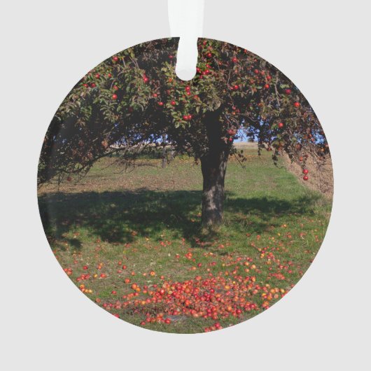 Oude appelboom ornament (achterkant)