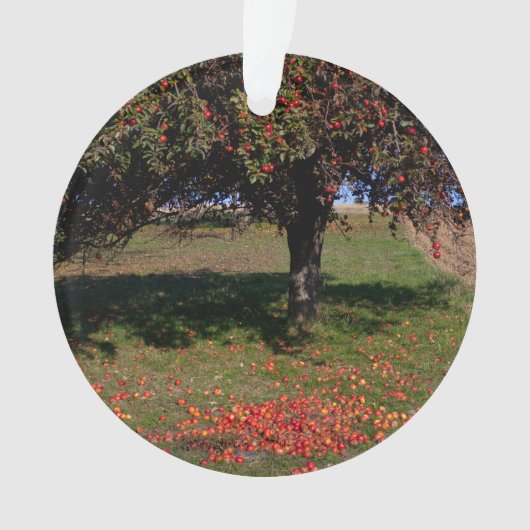 Oude appelboom ornament (voorkant)