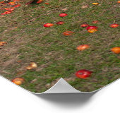 Oude appelboom poster (Hoek)