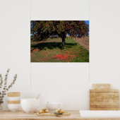 Oude appelboom poster (Keuken)