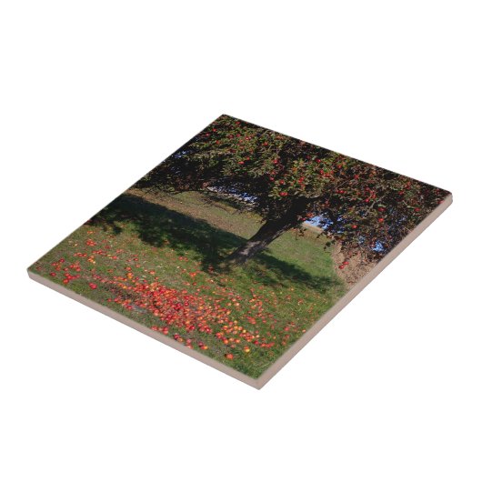 Oude appelboom tegeltje (Zijkant)