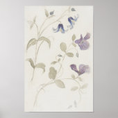 Oude aquarel bloemen poster (Voorkant)