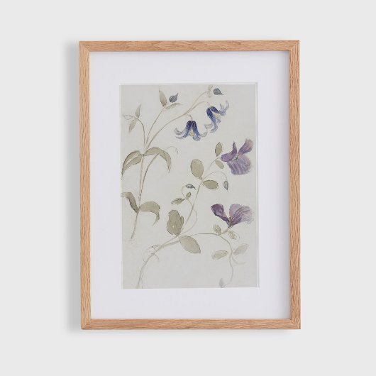 Oude aquarel bloemen poster