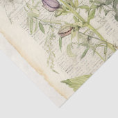Oude aquarel Natuurlijke wilde bloem Tissuepapier (Detail)
