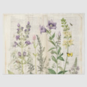 Oude aquarel Natuurlijke wilde bloem Tissuepapier (Voorkant)