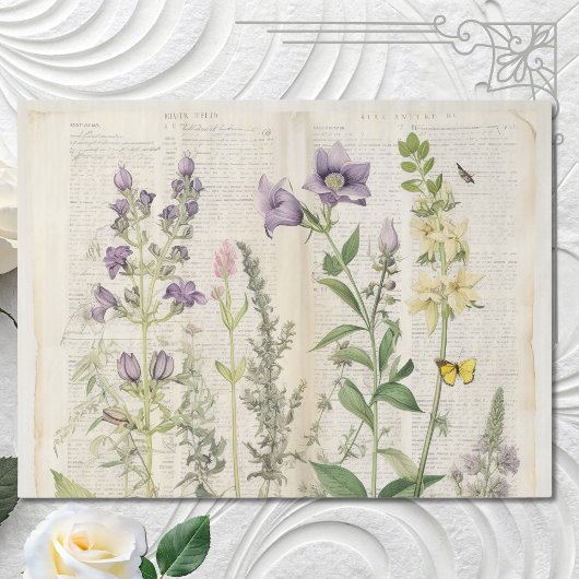 Oude aquarel Natuurlijke wilde bloem Tissuepapier
