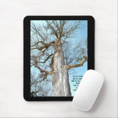 Oude Ash Zacharia 4:6 Muismat (Met muis)