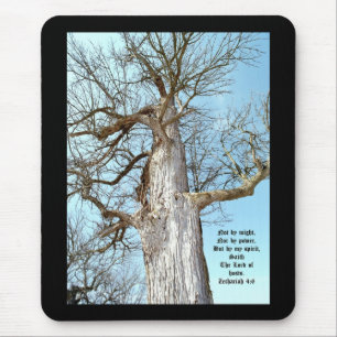 Oude Ash Zacharia 4:6 Muismat