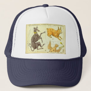 Oude Astronomie, Hemelkaart Sterrenkaart in de luc Trucker Pet