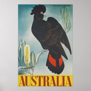 Oude Australië Reisposter Zwarte Kaketoe Poster