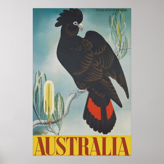 Oude Australië Reisposter Zwarte Kaketoe Poster (Voorkant)