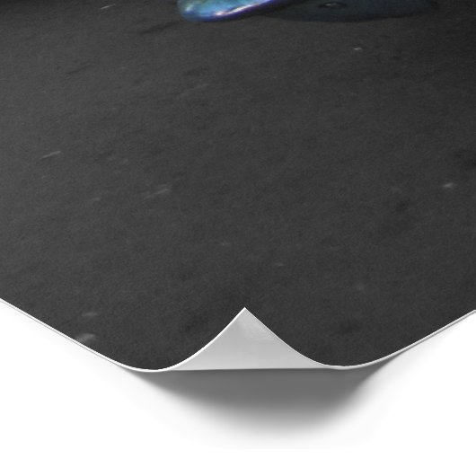 Oude auto's in Havana Poster (Hoek)