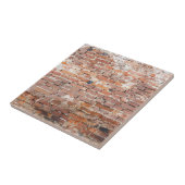 Oude bakstenen muur tegeltje (Zijkant)