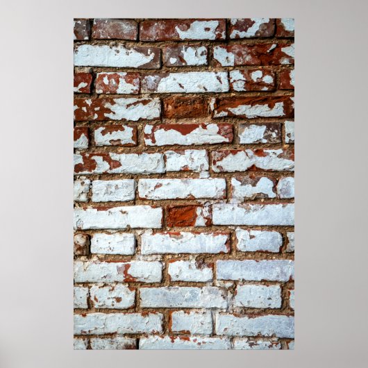 Oude bakstenen wand met gestrooid wit gipsplaat poster (Voorkant)
