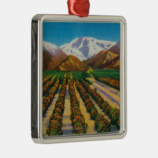 Oude Baldy Mountain uit de Oranje Groves Metalen Ornament (Rechts)