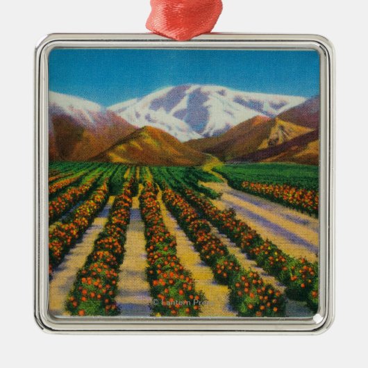 Oude Baldy Mountain uit de Oranje Groves Metalen Ornament (Voorkant)