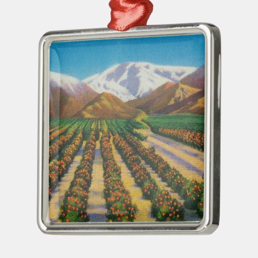 Oude Baldy Mountain uit de Oranje Groves Metalen Ornament (Links)