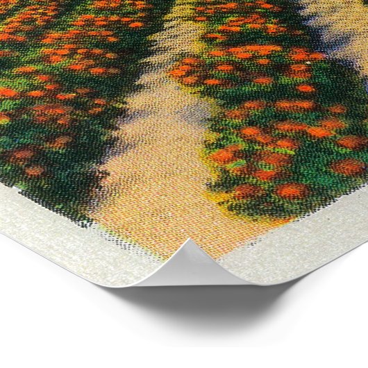 Oude Baldy Mountain uit de Oranje Groves Poster (Hoek)