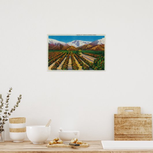 Oude Baldy Mountain uit de Oranje Groves Poster (Keuken)