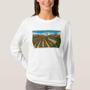 Oude Baldy Mountain uit de Oranje Groves T-shirt