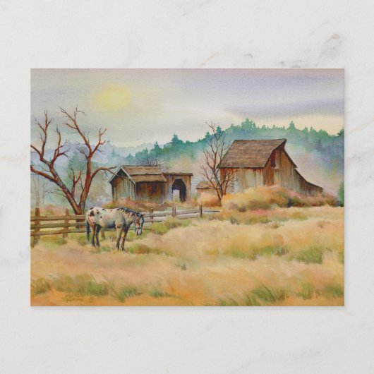 OUDE BARN EN APPALOOSA door SHARON SHARPE Briefkaart (Voorkant)
