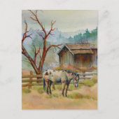 OUDE BARN EN APPALOOSA door SHARON SHARPE Briefkaart (Voorkant)