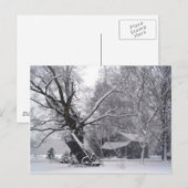 Oude Barn en eikenboom op het platteland Foto van Briefkaart (Voorkant / Achterkant)