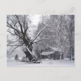 Oude Barn en eikenboom op het platteland Foto van  Briefkaart