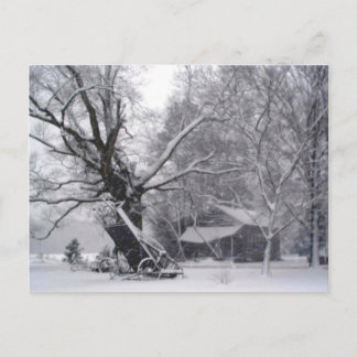 Oude Barn en eikenboom op het platteland Foto van Briefkaart