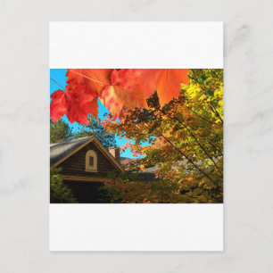 Oude Barn Foliage-Briefkaart Briefkaart