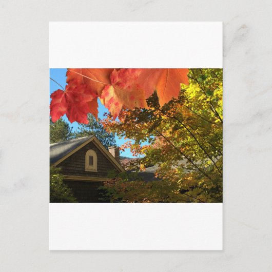 Oude Barn Foliage-Briefkaart Briefkaart (Voorkant)