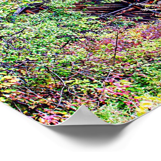 Oude Barn in de Herfst Poster (Hoek)