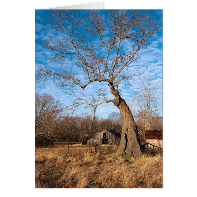 Oude Barn in het najaar (Voorkant)