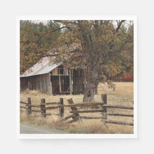 OUDE BARN SERVET (Voorkant)