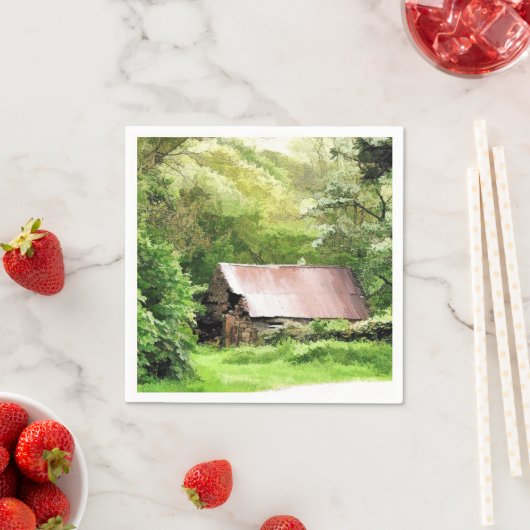 OUDE BARNS SERVETTEN (Insitu)