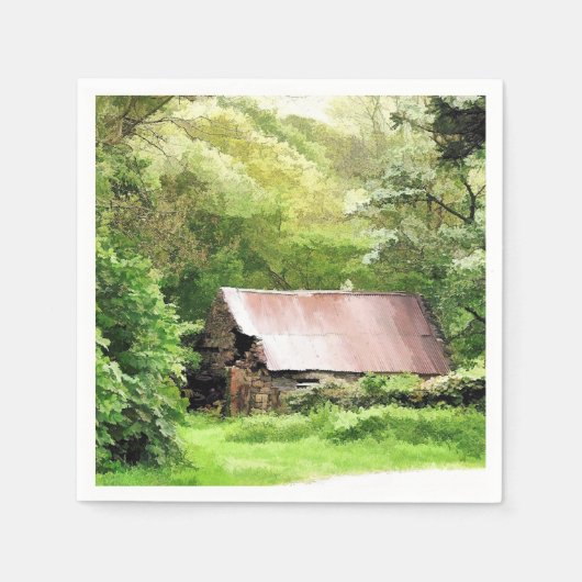 OUDE BARNS SERVETTEN (Voorkant)