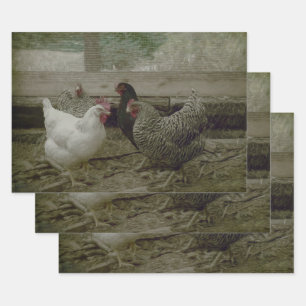 Oude  Barnyard Country Chicken Wrapping Pape Inpakpapier Vel