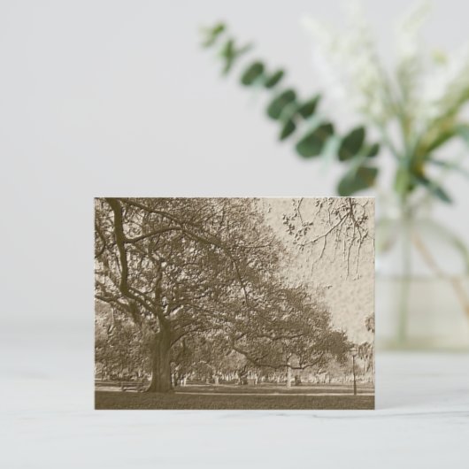 Oude batterij briefkaart (Staand voorkant)